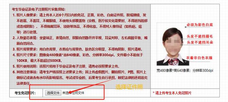 图片6
