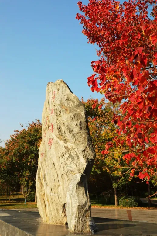 640_wx_fmt=png&from=appmsg&randomid=142pe073&tp=webp&wxfrom=5&wx_lazy=1